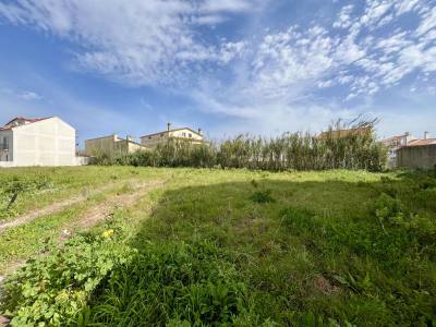 Lote Alto Veríssimo - foto 4