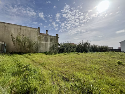 Lote Alto Veríssimo - foto 5