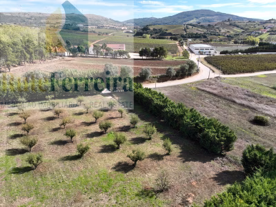 Terreno urbano no Turcifal, Torres Vedras - foto 4