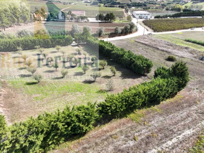 Terreno urbano no Turcifal, Torres Vedras - foto 1