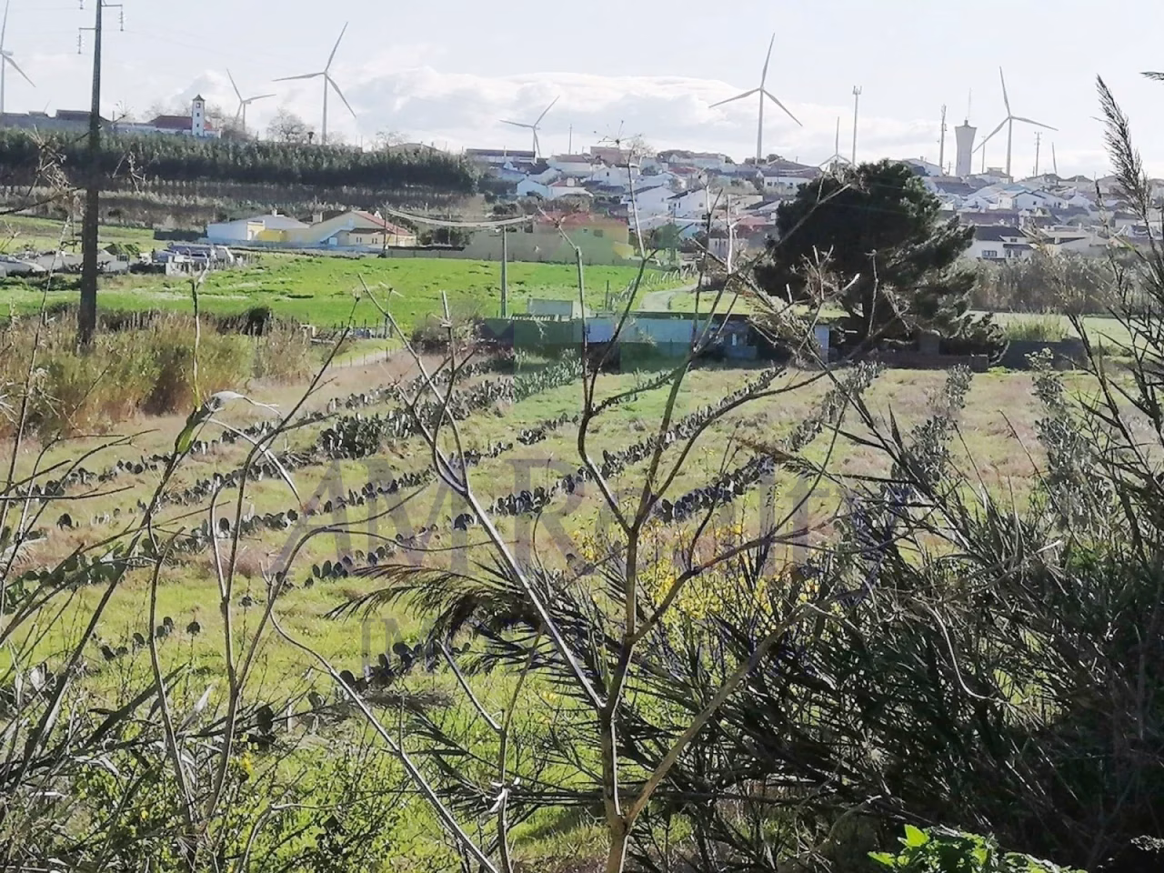 Terreno Serra D'El Rei - foto 1
