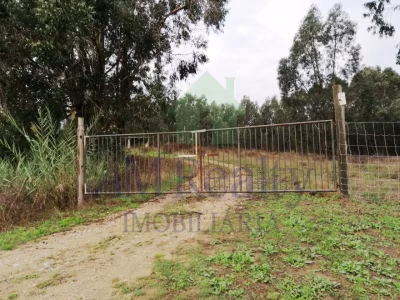 Terreno Serra D'El Rei - foto 4