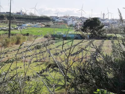 Terreno Serra D'El Rei - foto 5
