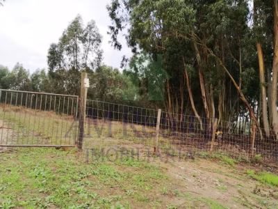 Terreno Serra D'El Rei - foto 2