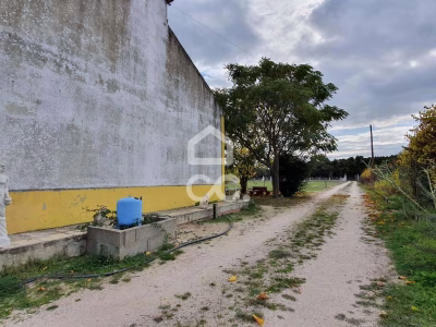 Quinta na Lagoa do Calvo em Poceirão, Palmela - excelente oportunidade de negócio - foto 4