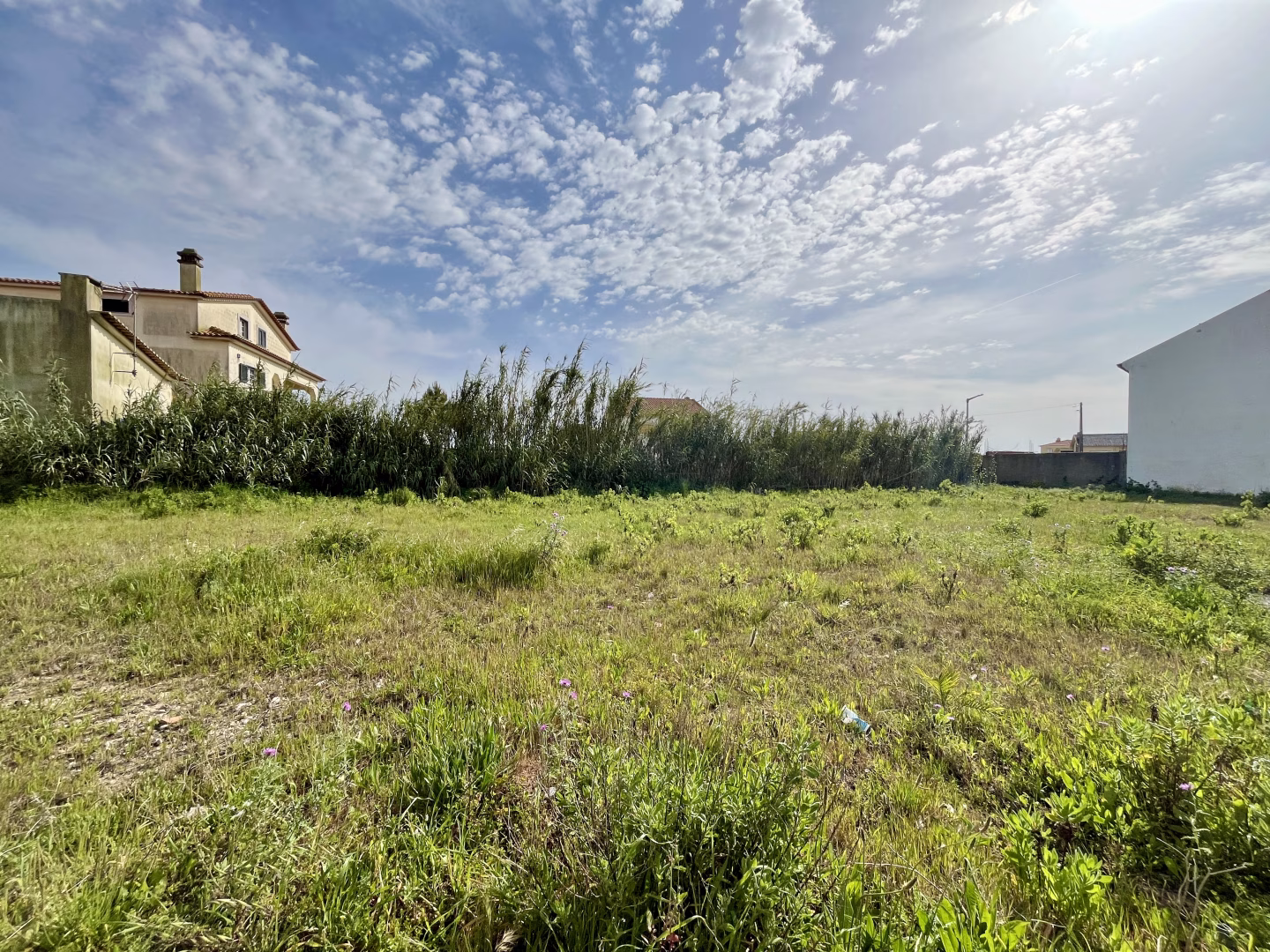 Lote Alto Veríssimo - foto 1
