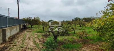Terreno para construção com 7.415 m² em Cabanas, Quinta do Anjo, Palmela - foto 5