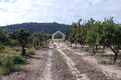 Terreno para construção com 7.415 m² em Cabanas, Quinta do Anjo, Palmela - foto 1