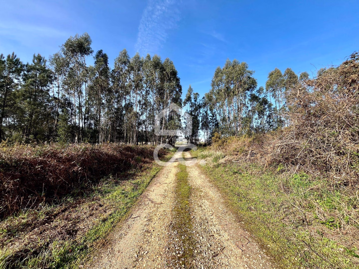 Terreno Misto em Caldas da Rainha - foto 1