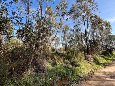 Terreno Misto em Caldas da Rainha - foto 2
