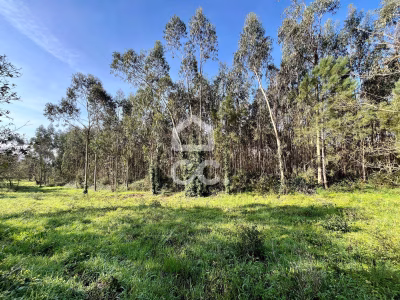 Terreno Misto em Caldas da Rainha - foto 4