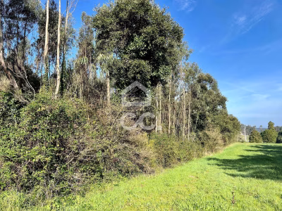 Terreno Misto em Caldas da Rainha - foto 3