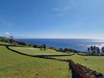 Imóvel com traça tradicional e potencial único na costa sul da Ilha do Pico - foto 2