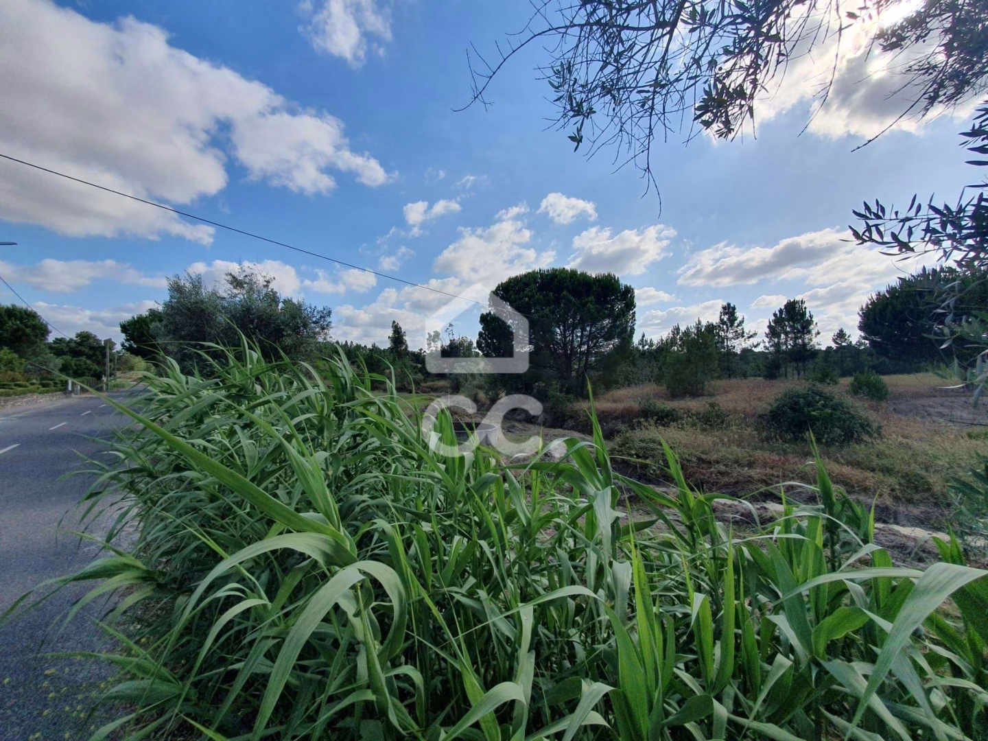 Terreno com 38.830 m² em localização privilegiada em Coruche - foto 1