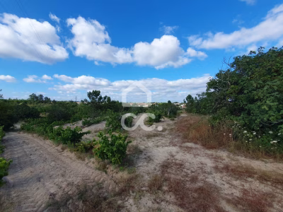 Terreno com 38.830 m² em localização privilegiada em Coruche - foto 4