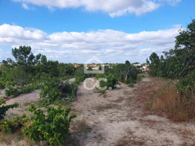 Terreno com 38.830 m² em localização privilegiada em Coruche - foto 3