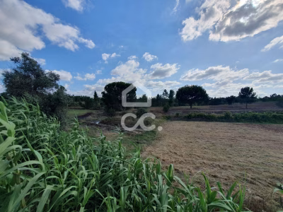Terreno com 38.830 m² em localização privilegiada em Coruche - foto 2