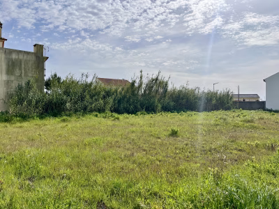 Lote Alto Veríssimo - foto 3