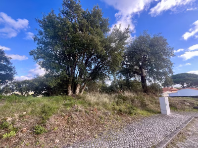 Terreno - foto 2