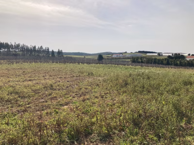 TERRENO COM PROJETO APROVADO | Moita dos Ferreiros - foto 5