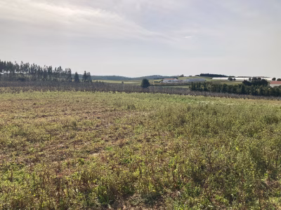 TERRENO COM PROJETO APROVADO | Moita dos Ferreiros - foto 3