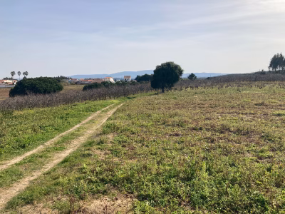 TERRENO COM PROJETO APROVADO | Moita dos Ferreiros - foto 2