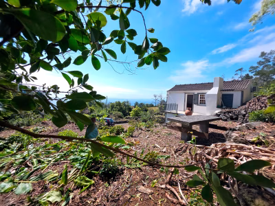 Pico Seaview - Moradia T2 Renovada com Vista Mar - São João - foto 2
