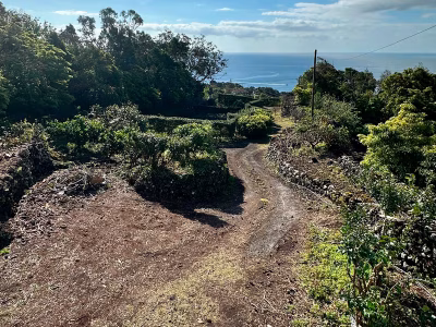 Pico Seaview - Moradia T2 Renovada com Vista Mar - São João - foto 3